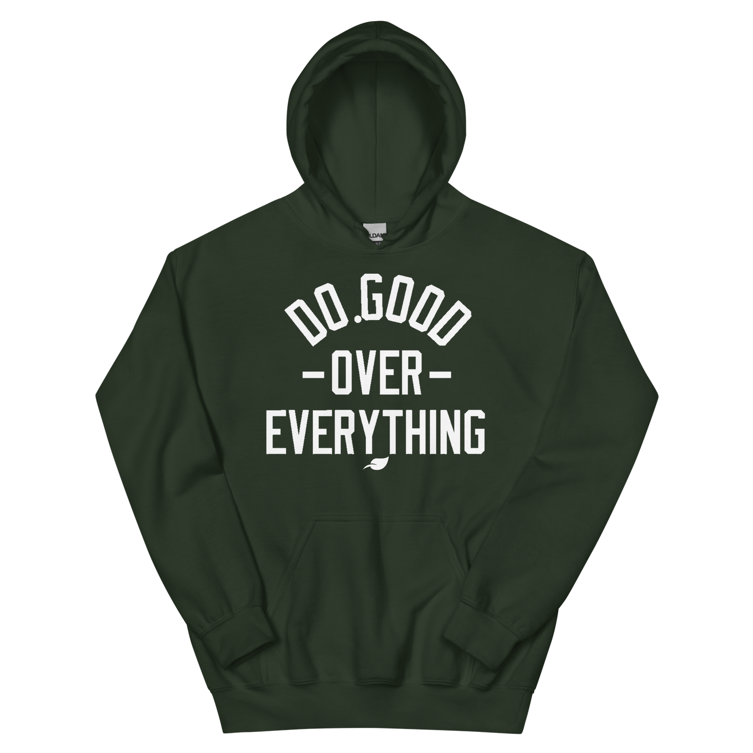 DGOE COLLECTION